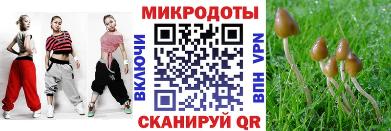 Галлюциногенные грибы MAGIC MUSHROOMS  дарнет шоп  Киселёвск 